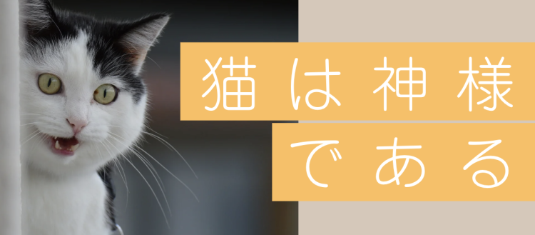 猫は神様である
